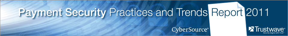 PaymentSecurityReport11Landing-banner-960x120
